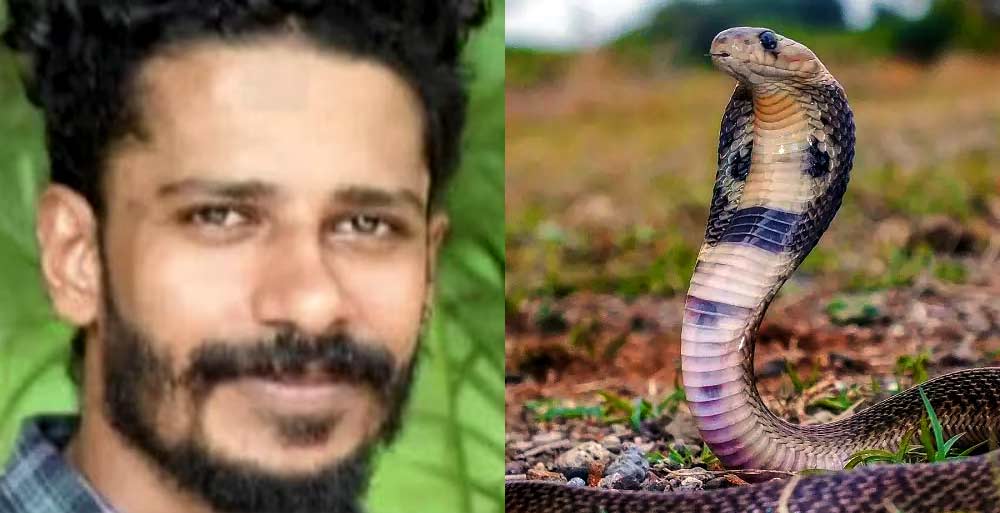 man arrested for attempting to kill a man with a snake